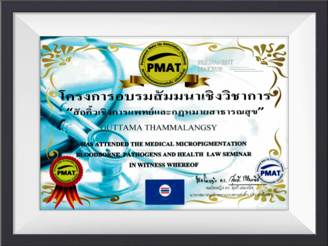 Training seminar on “Medical Micropigmentation, Bloodborne Pathogens and Health Law“,🇹🇭 PMAT (Permanent Makeup Association of Thailand),Paolo Hospital