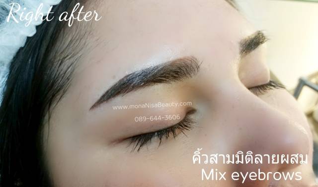 คิ้วสามมิติแบบผสม